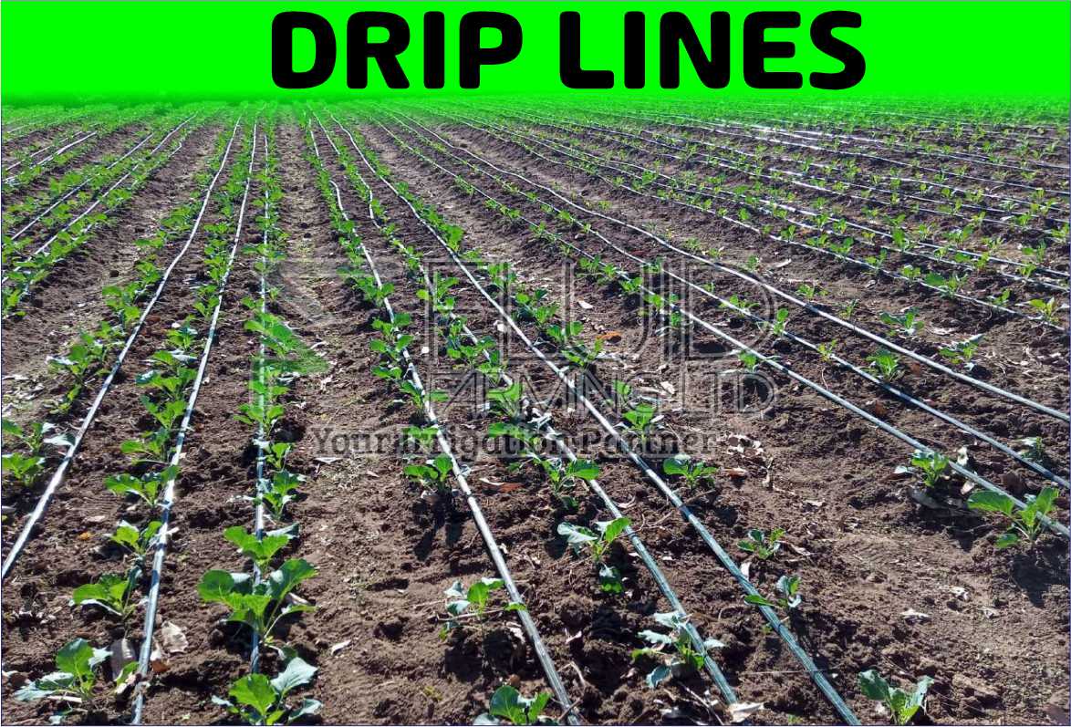 Home fluid farming12