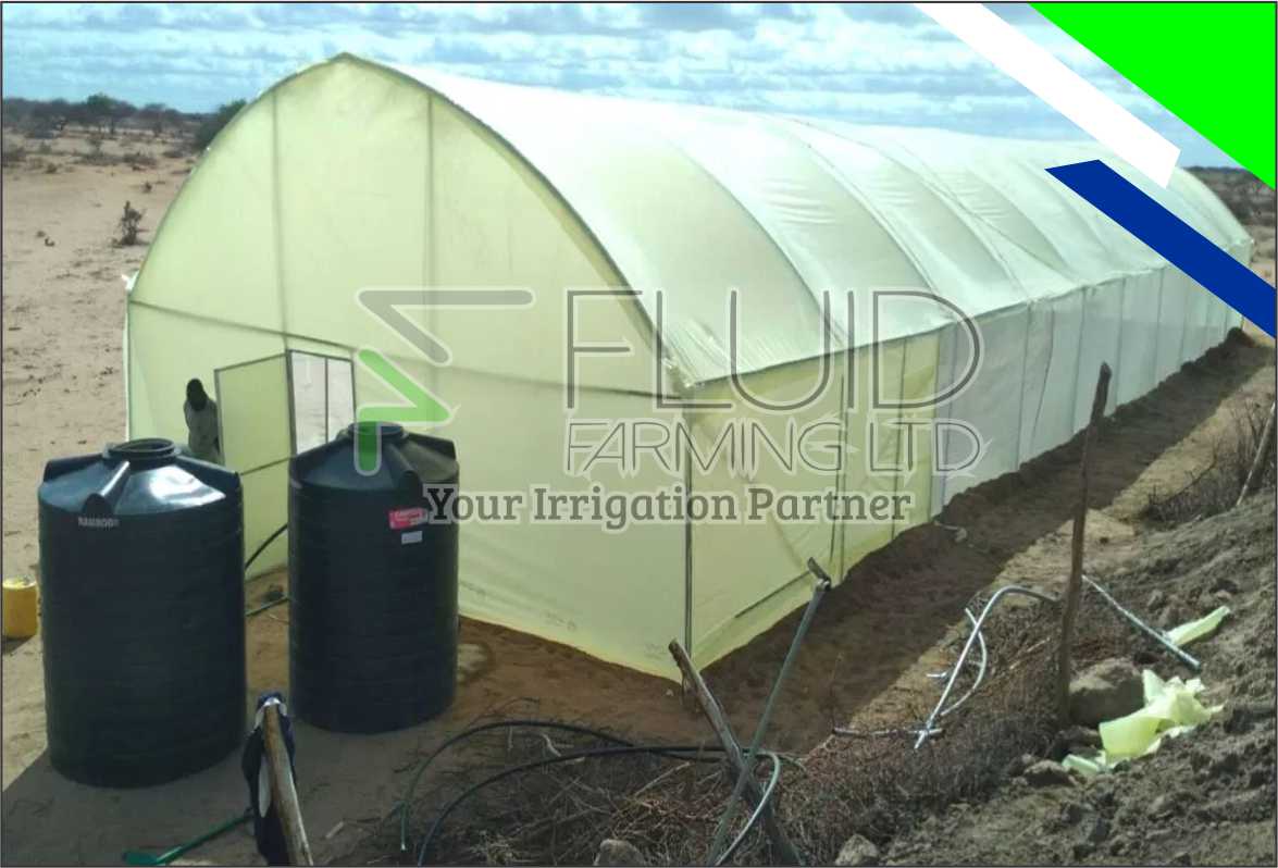 Home fluid farming13