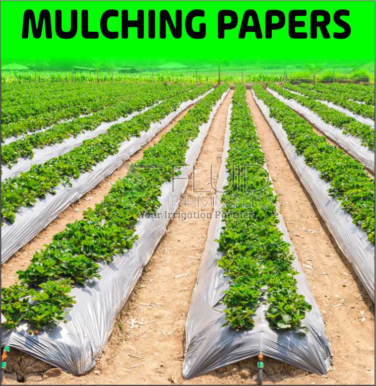 Home fluid farming15